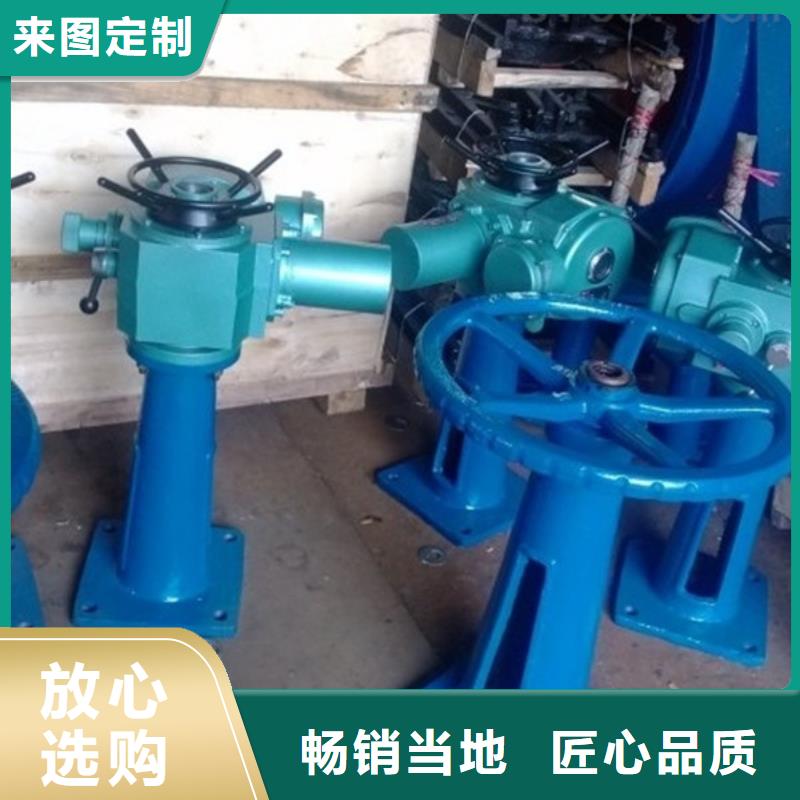 QL-80KN-SY手摇式螺杆启闭机