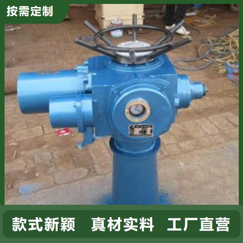 双吊螺杆启闭机