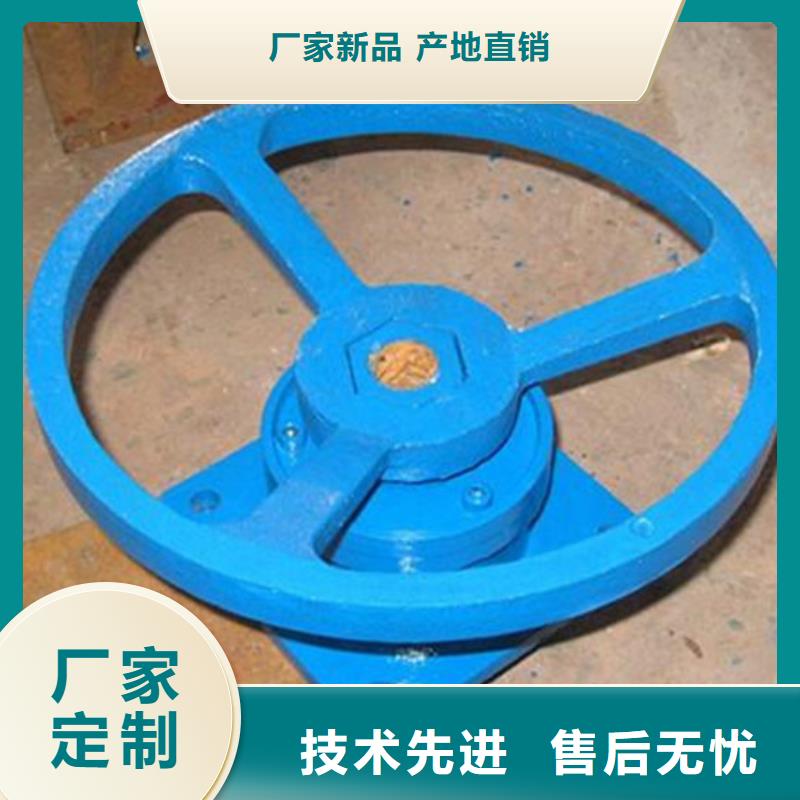 双吊螺杆启闭机