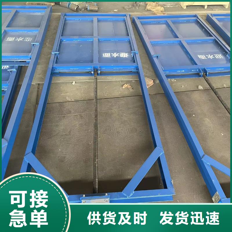 定滑轮钢制闸门