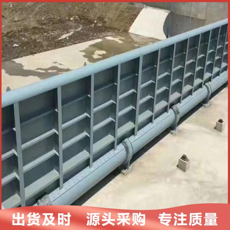  钢闸门实体厂家支持定制