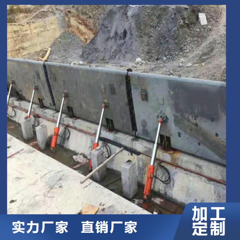 景观钢坝双向钢制闸门提供图纸