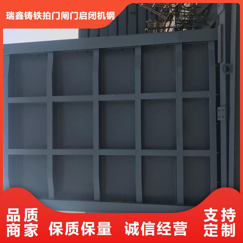 定轮钢制闸门