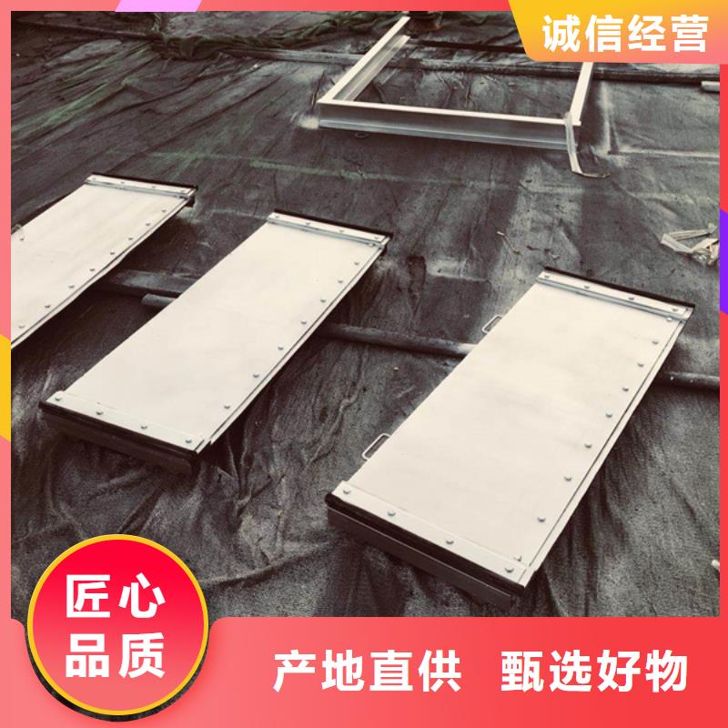 翠屏区大型钢制闸门坚固耐用-实力厂家