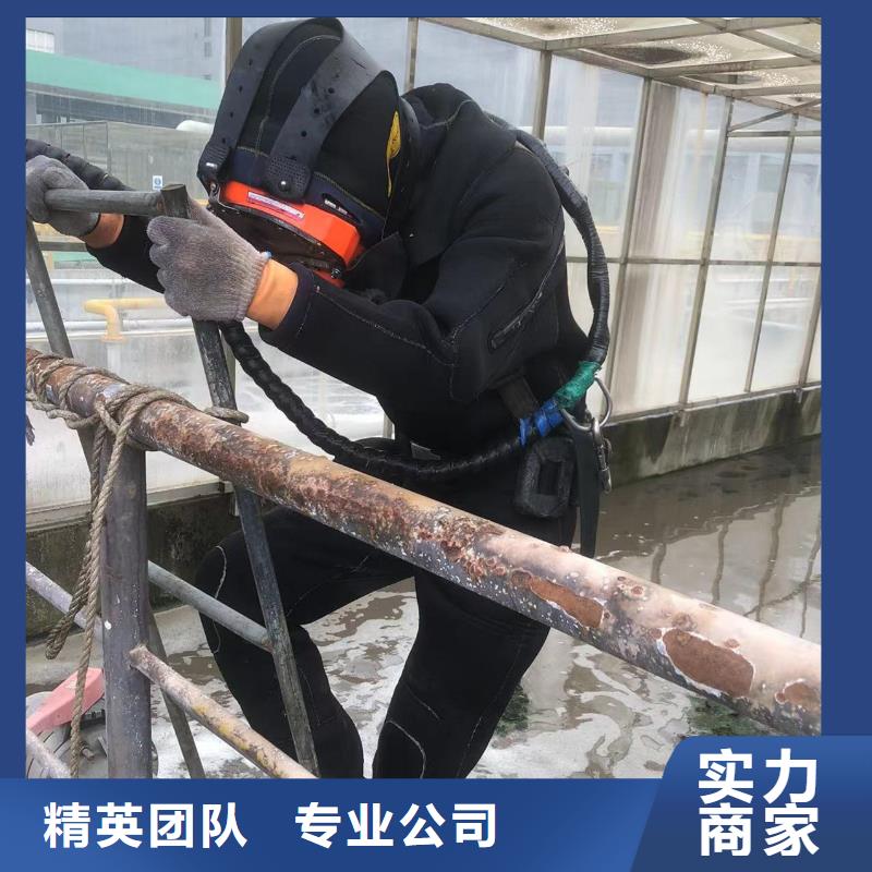 蛙人打捞队-本地救援队伍