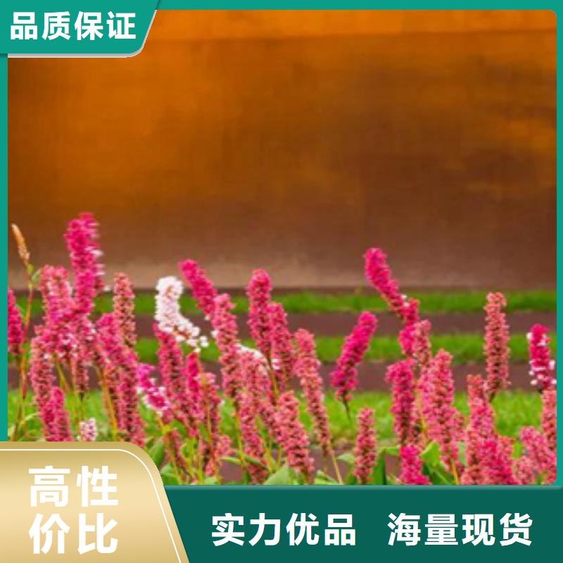 带钢定制造型安装造型