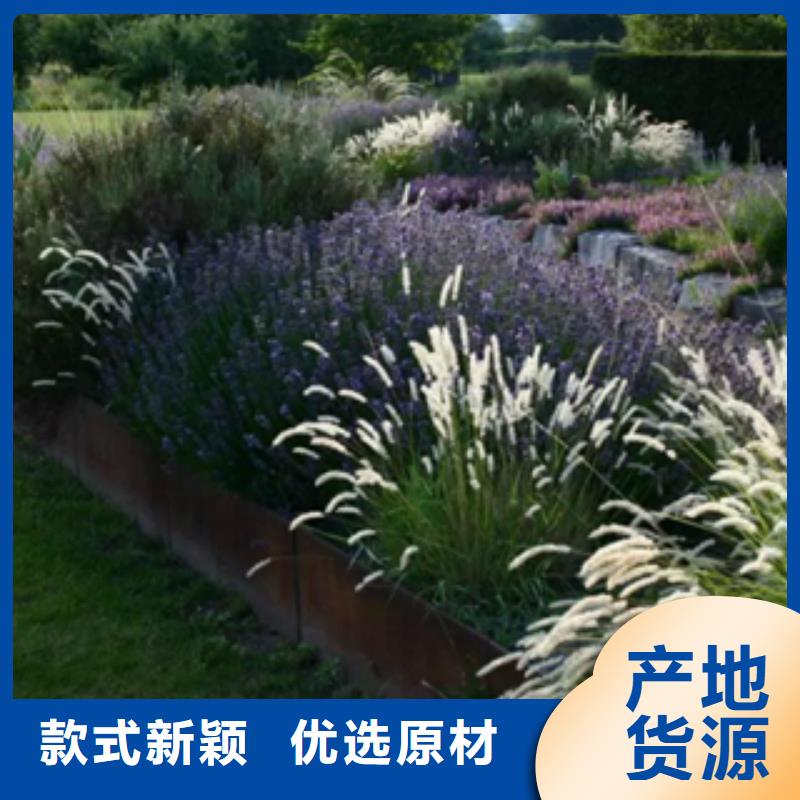 锈钢板做锈生锈药剂