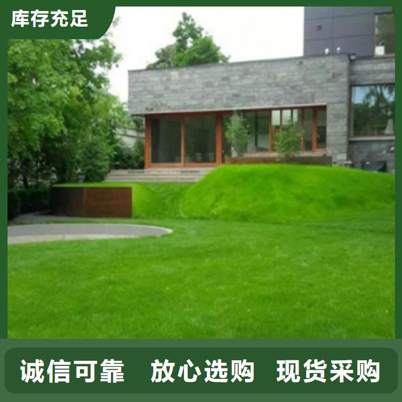 带钢定制加工深加工