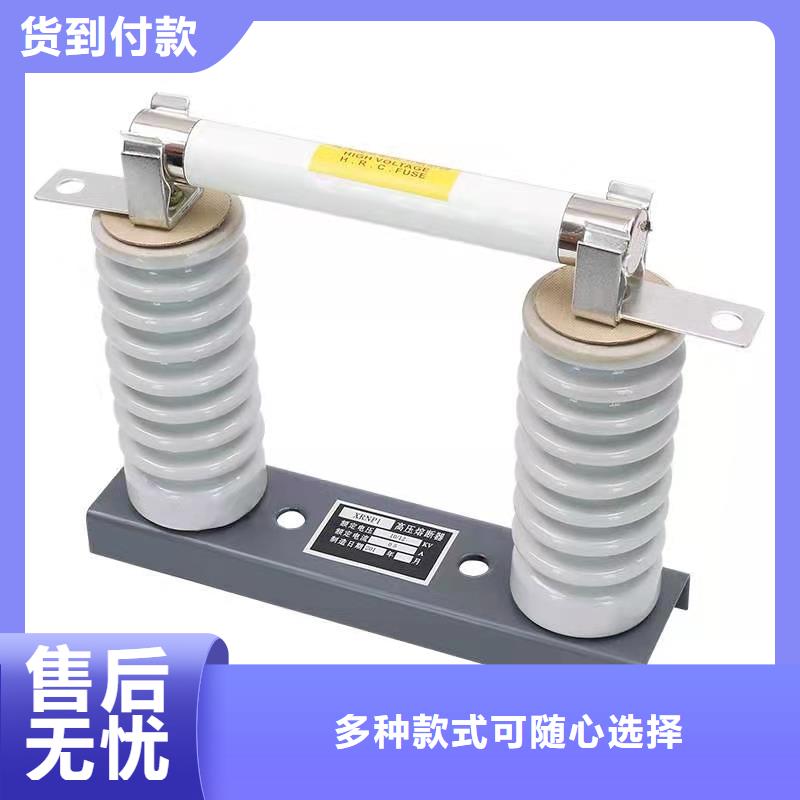 Y5WZ-26/66陶瓷电站型氧化锌避雷器避雷器
