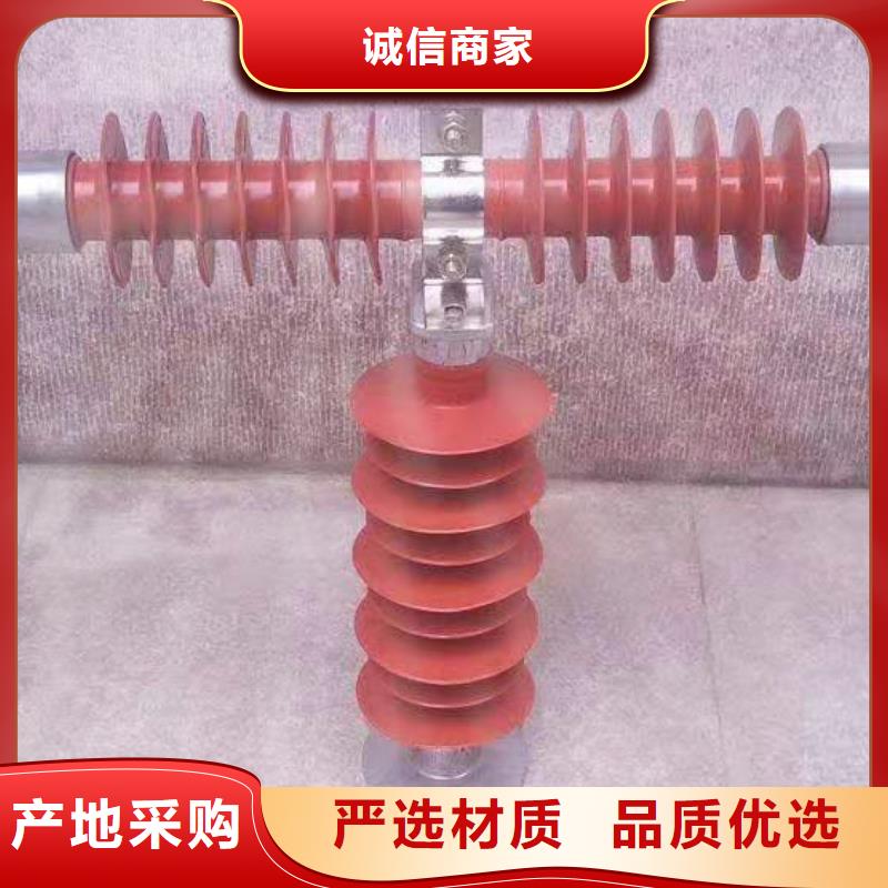 定安县保护电压互感器用高压限流熔断器XRNP1-24/0.5A低价