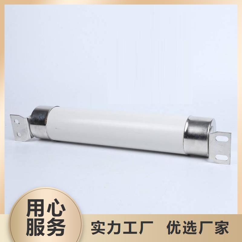 定安县保护电压互感器用高压限流熔断器XRNP1-24/0.5A低价