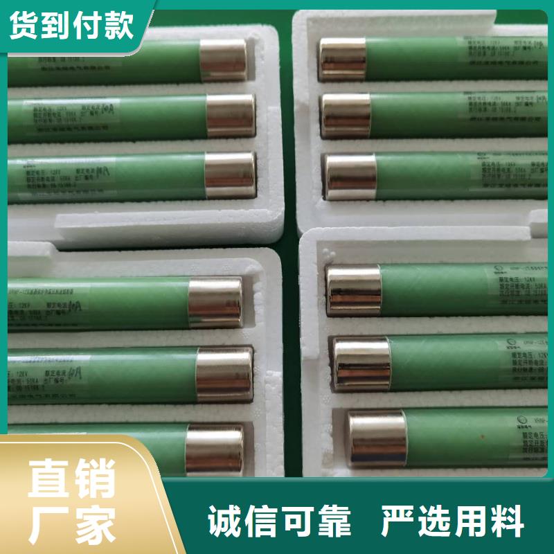 XRNT1-12KV/25A型号参数变压器保护用高压限流熔断器