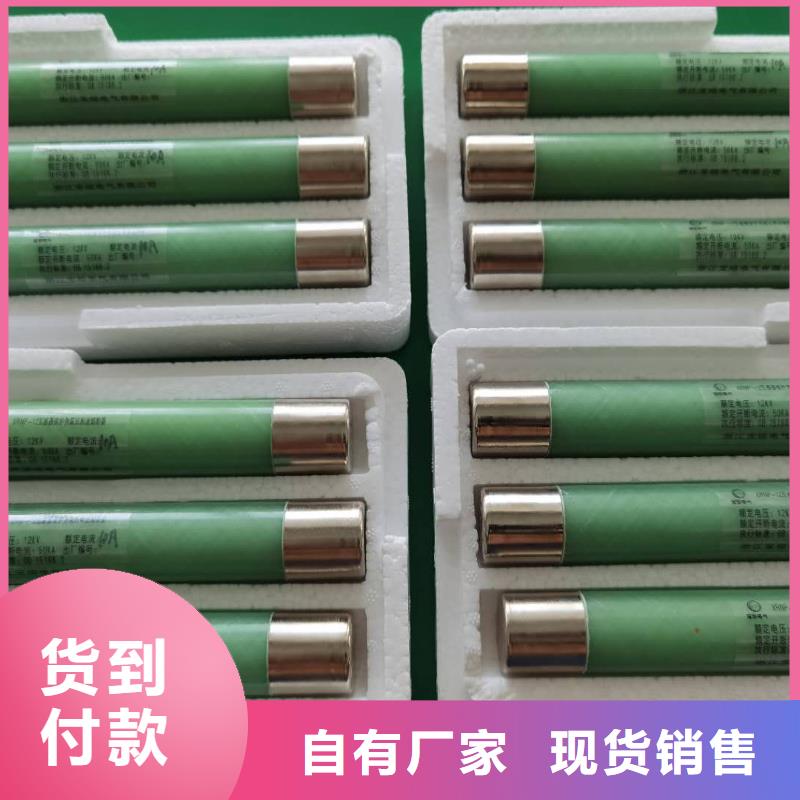 XRNP1-35/0.5A保护电压互感器用高压限流熔断器