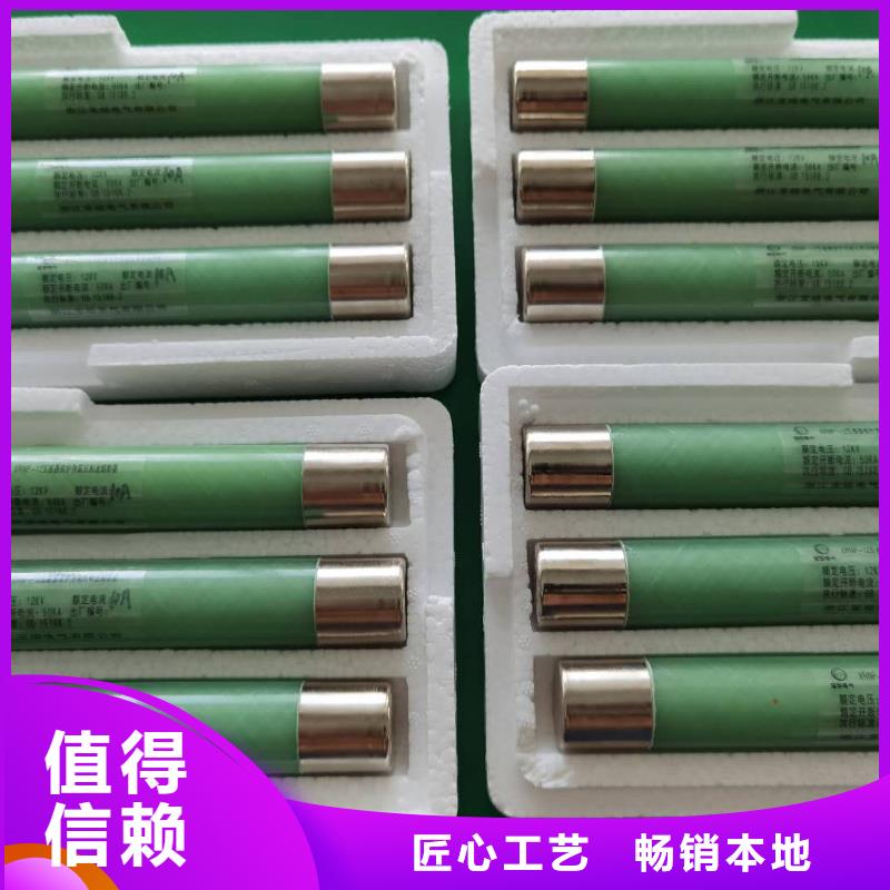 高压熔断器避雷器诚信经营现货现发