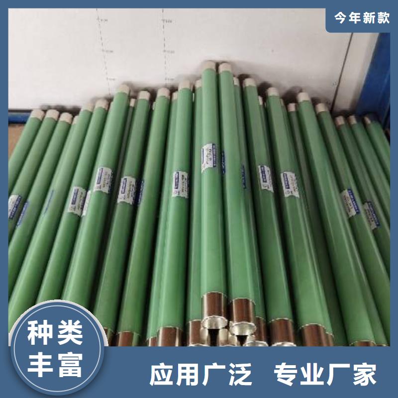 保护电压互感器用高压限流熔断器XRNP1-12/3.15A