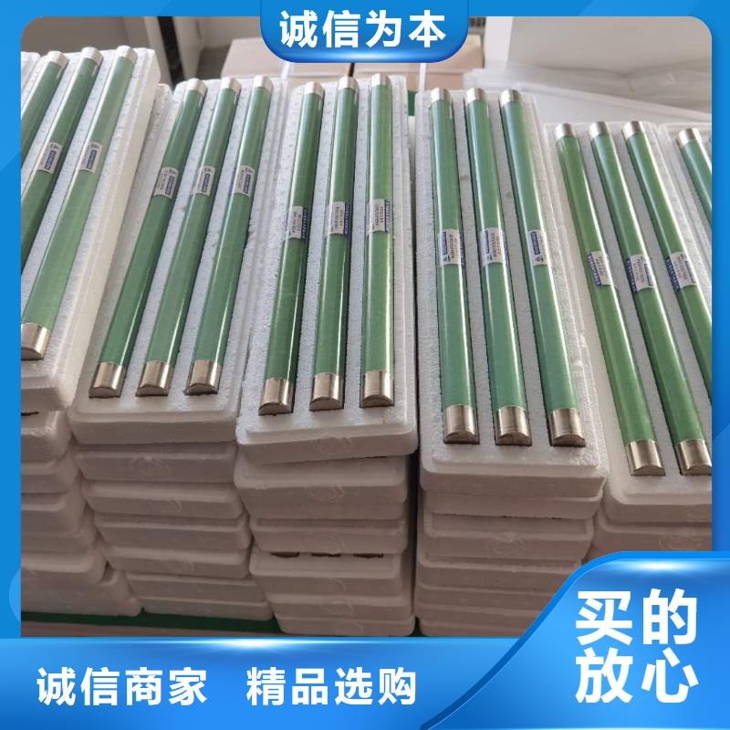 保护电压互感器用高压限流熔断器XRNP1-3.6/1A