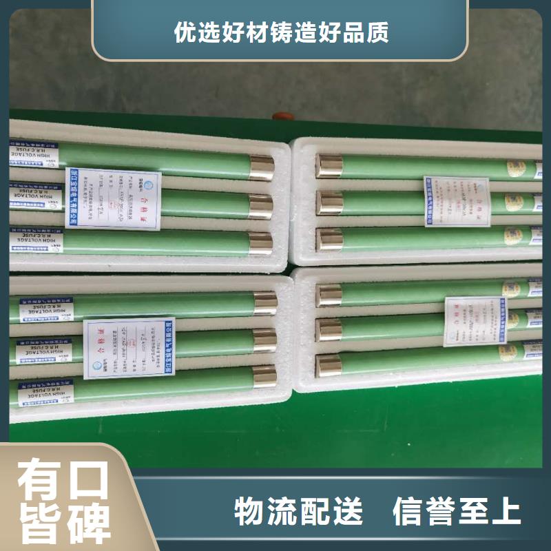 保护电压互感器用高压限流熔断器XRNP1-24/2A低价