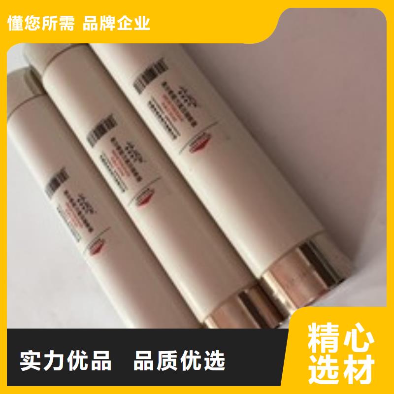 白沙县变压器保护用高压限流熔断器XRNT1-3.6KV/80A厂家直销
