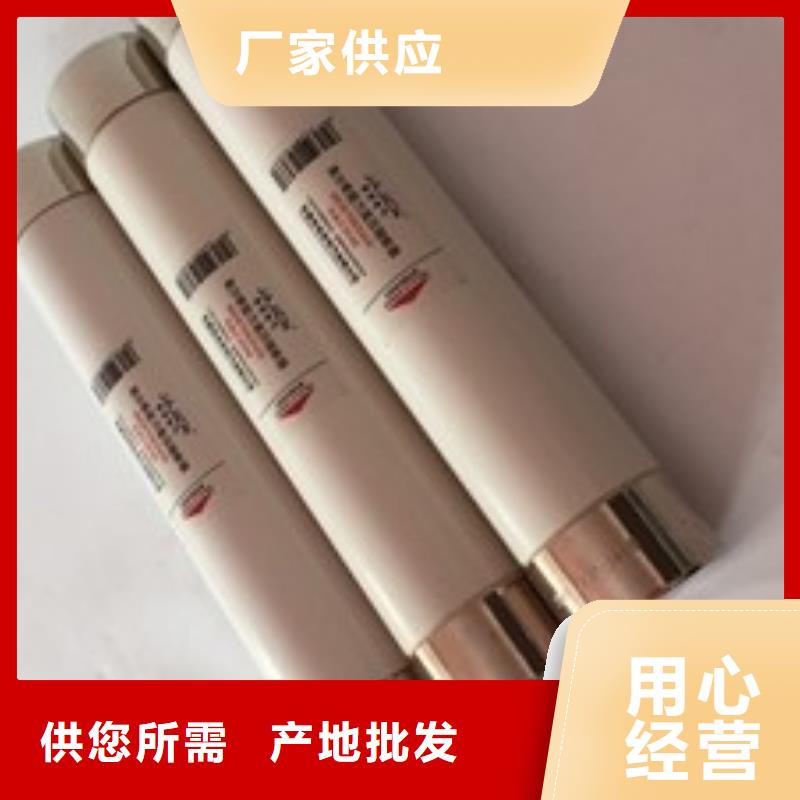 XRNP1-35/2A保护电压互感器用高压限流熔断器