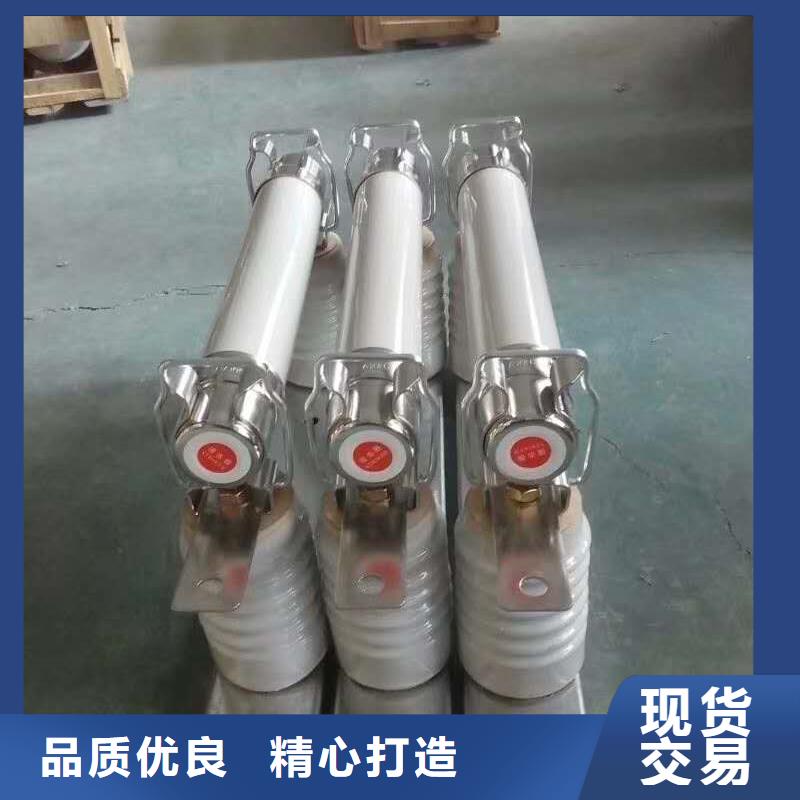 XRNT1-12KV/100A型号参数变压器保护用高压限流熔断器