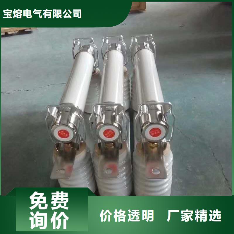 生产厂家XRNP1-40.5/1保护电压互感器用高压限流熔断器