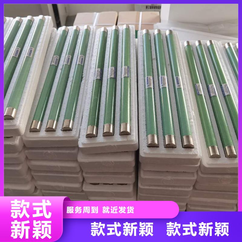 保护电压互感器用高压限流熔断器XRNP1-24/2A低价