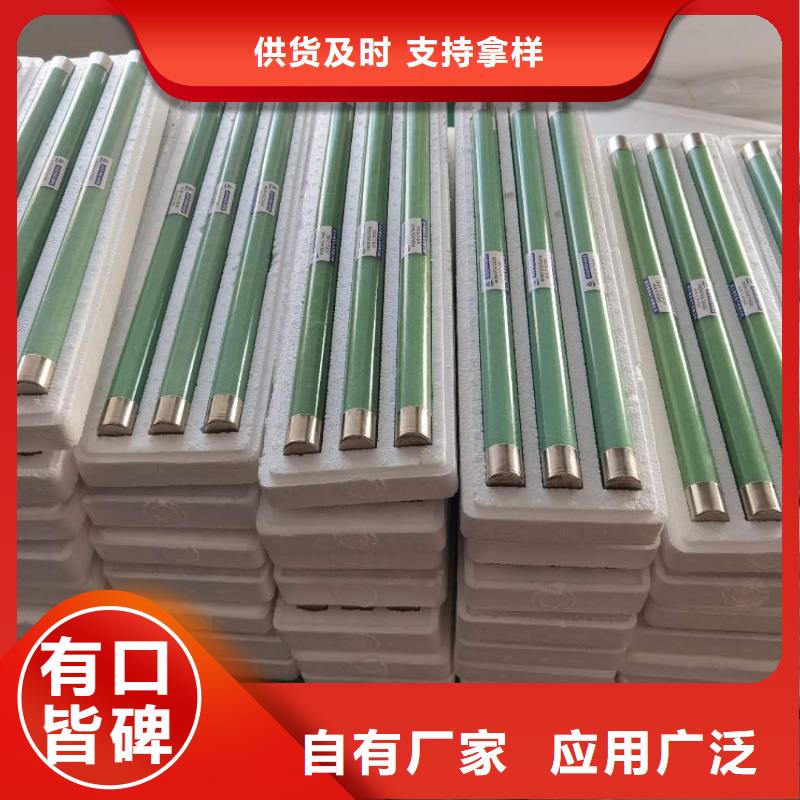 保护电压互感器用高压限流熔断器XRNP1-12/3.15A