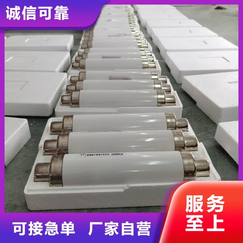 XRNP1-35/3.15A保护电压互感器用高压限流熔断器