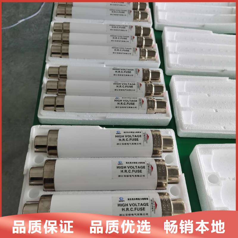 XRNT1-12KV/25A型号参数变压器保护用高压限流熔断器