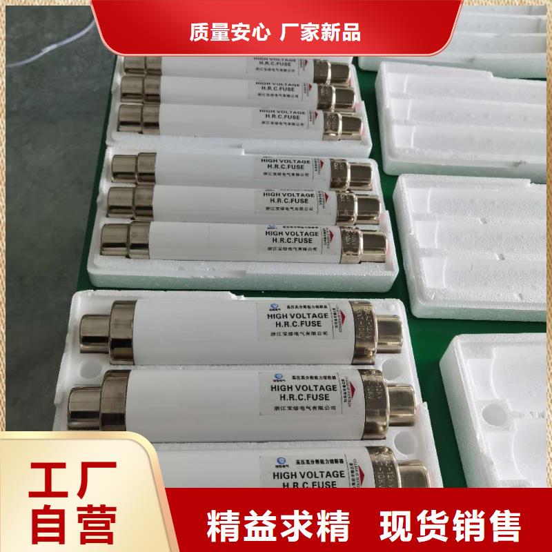 保护电压互感器用高压限流熔断器XRNP1-12/1A