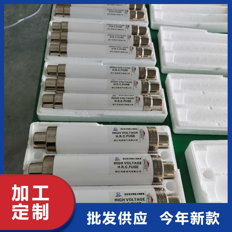 XRNP1-35/2A保护电压互感器用高压限流熔断器