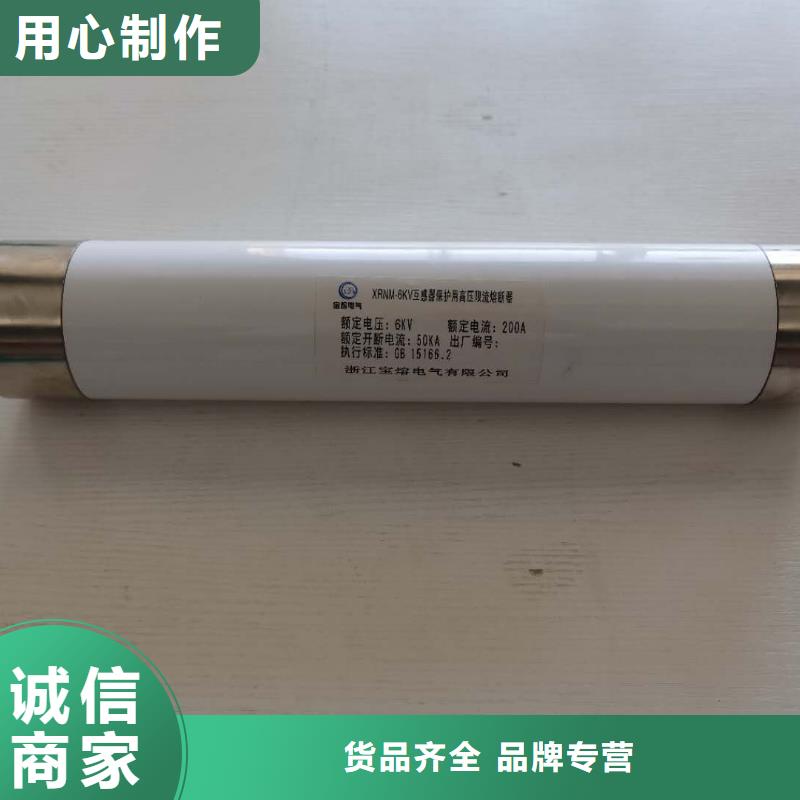 定安县保护电压互感器用高压限流熔断器XRNP1-24/0.5A低价