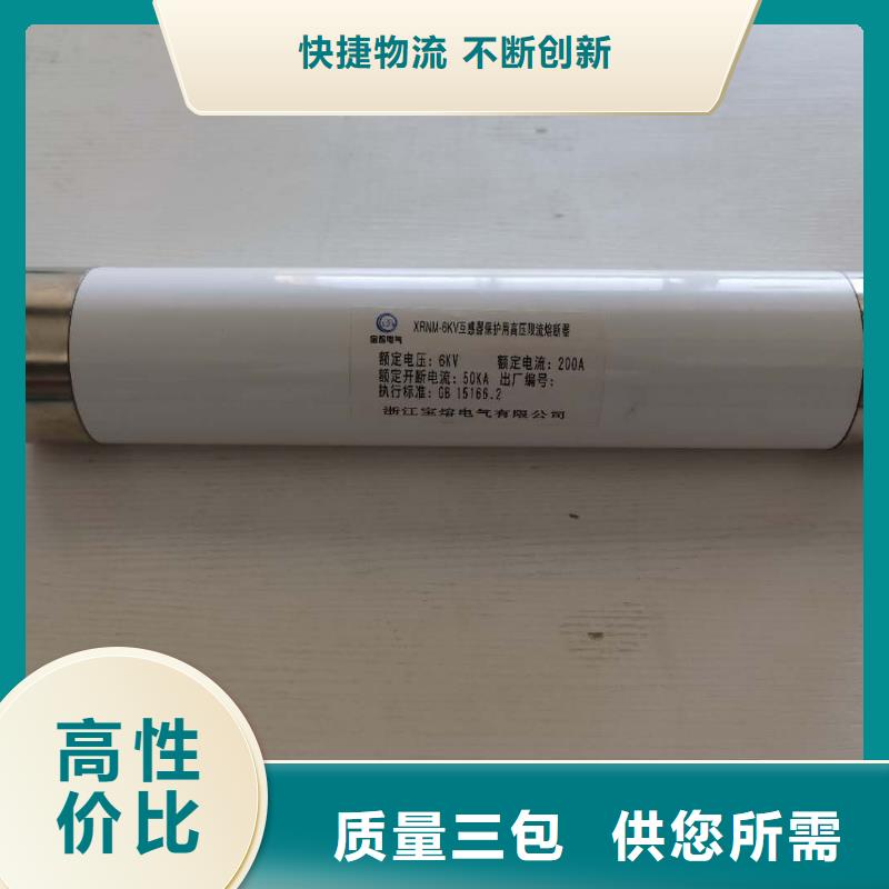 济源市规格齐全XRNT1-3.6KV/31.5A变压器保护用高压限流熔断器