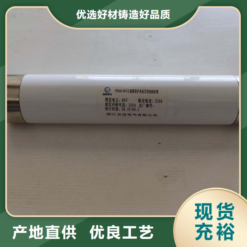 生产厂家XRNP1-35/0.5A保护电压互感器用高压限流熔断器