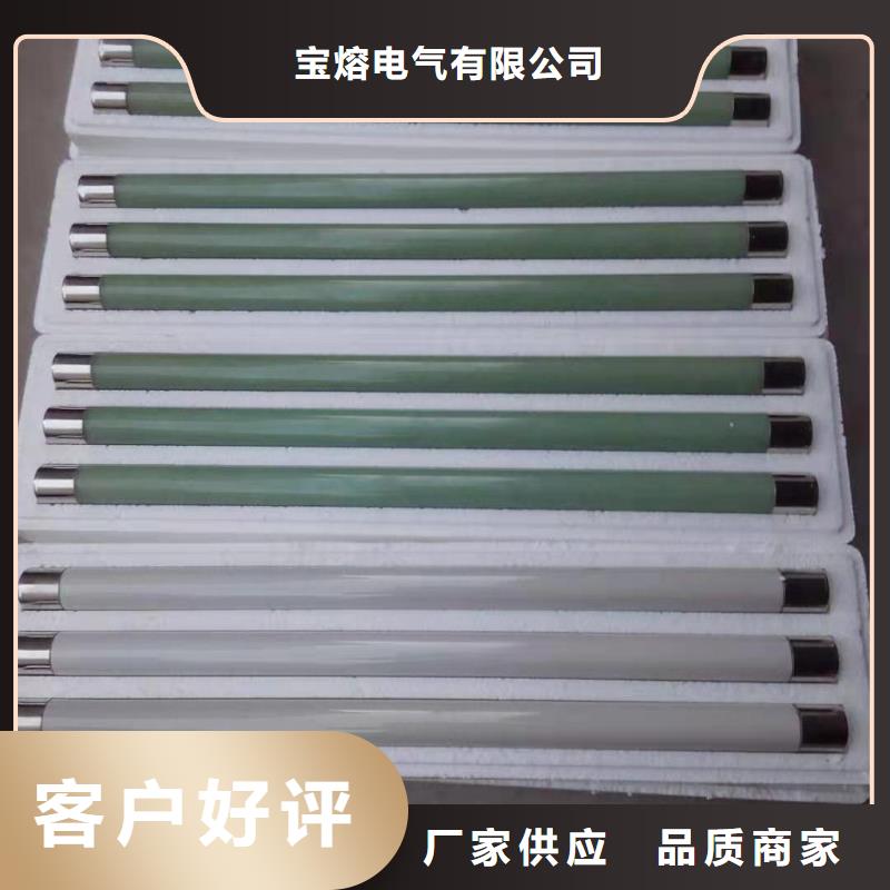 保护电压互感器用高压限流熔断器XRNP1-12/0.5A