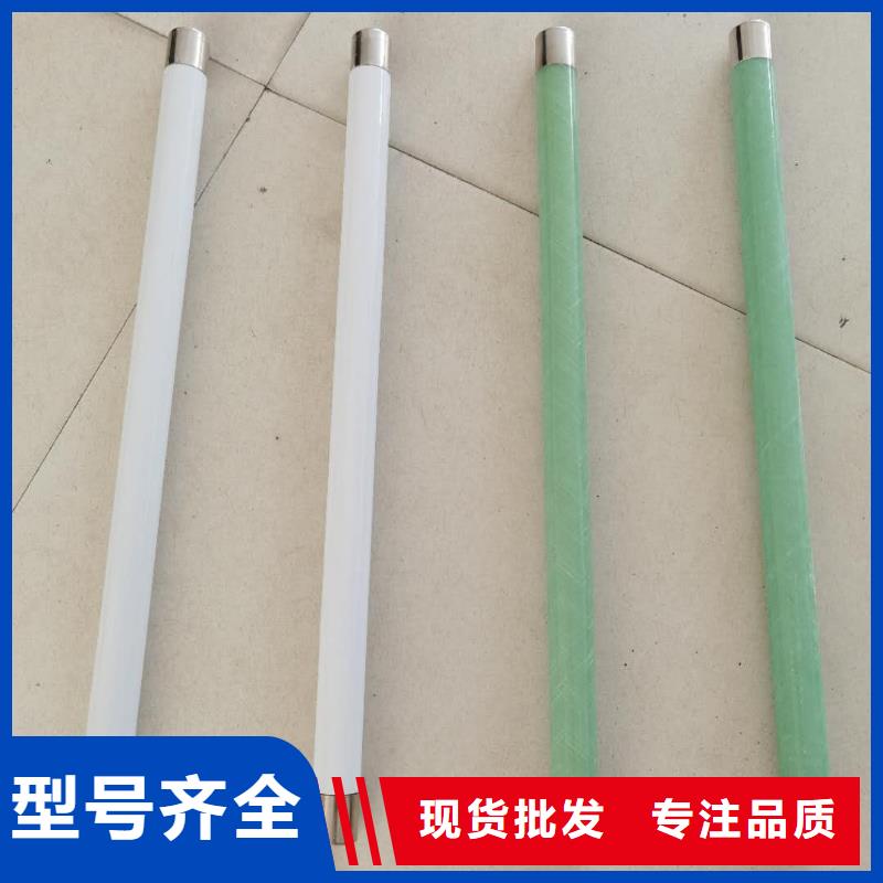 变压器保护用高压限流熔断器XRNT1-10KV/20A型号齐全