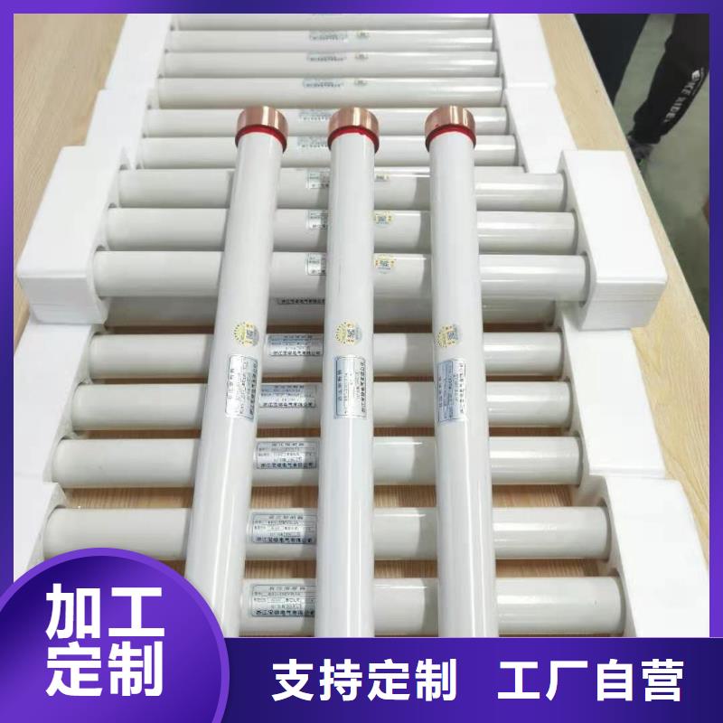 保护电压互感器用高压限流熔断器XRNP1-12/0.5A