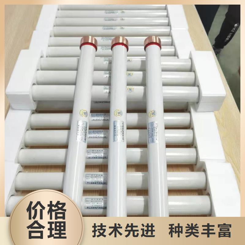变压器保护用高压限流熔断器XRNT1-10KV/125A型号齐全