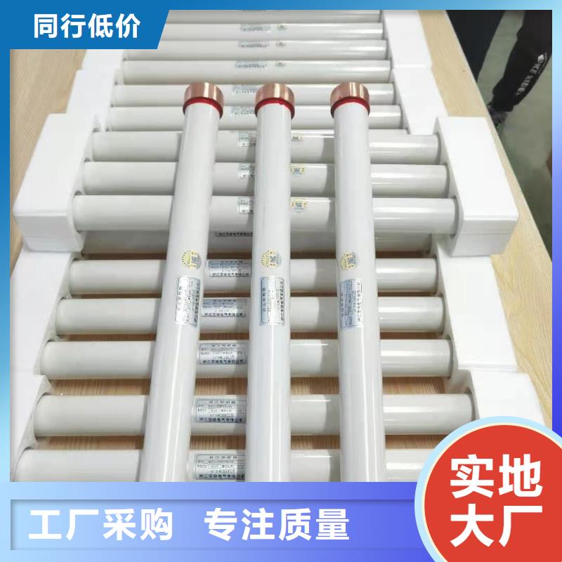 生产厂家XRNP1-40.5/1保护电压互感器用高压限流熔断器