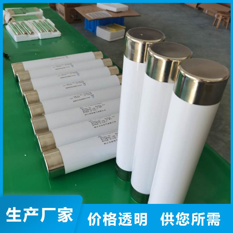 XRNT1-12KV/80A型号参数变压器保护用高压限流熔断器