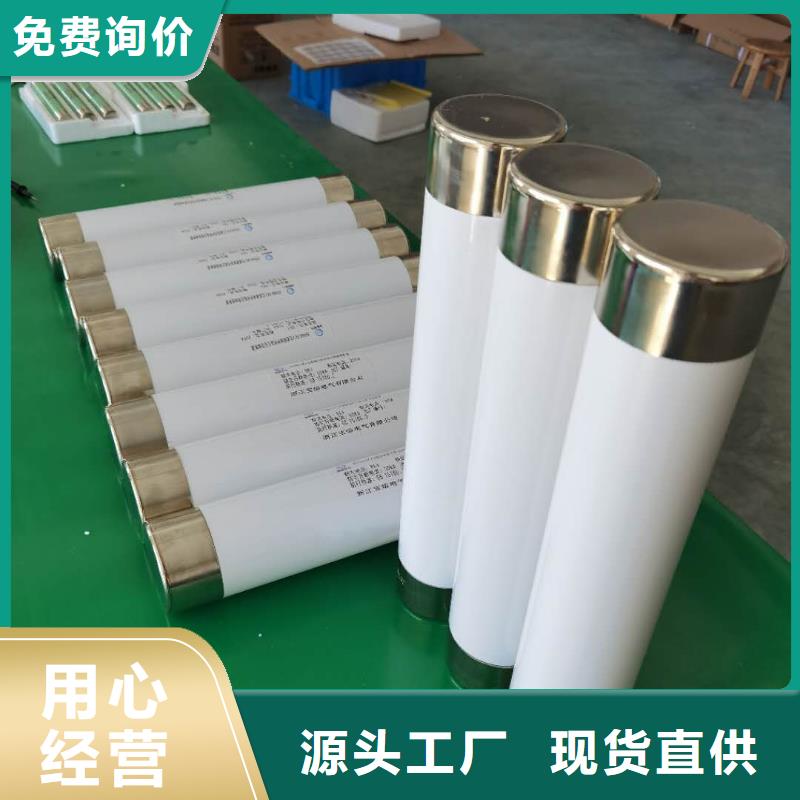 XRNT1-12KV/315A型号参数变压器保护用高压限流熔断器