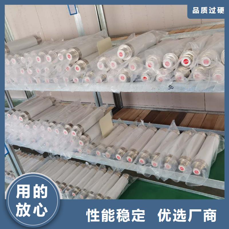 高压熔断器避雷器诚信经营现货现发