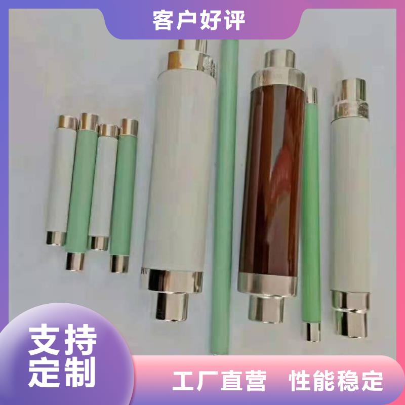 保护电压互感器用高压限流熔断器XRNP1-24/0.5A
