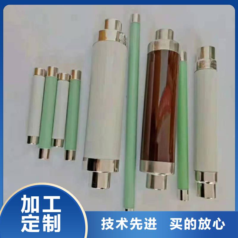 保护电压互感器用高压限流熔断器XRNP1-12/0.5A