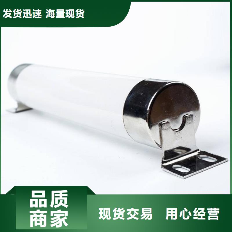 生产厂家XRNP1-35/0.5A保护电压互感器用高压限流熔断器