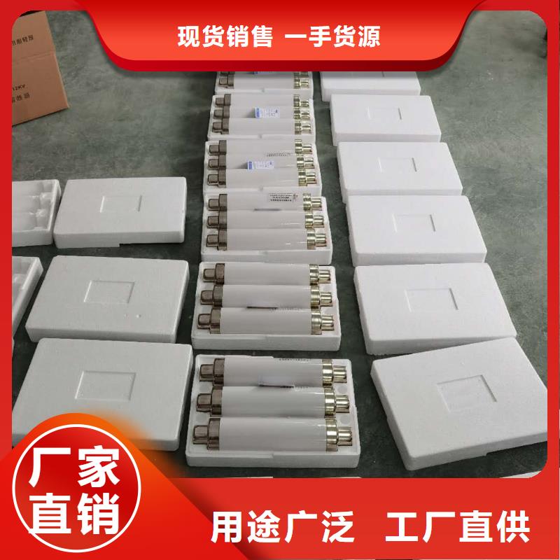 保护电压互感器用高压限流熔断器XRNP1-3.6/1A
