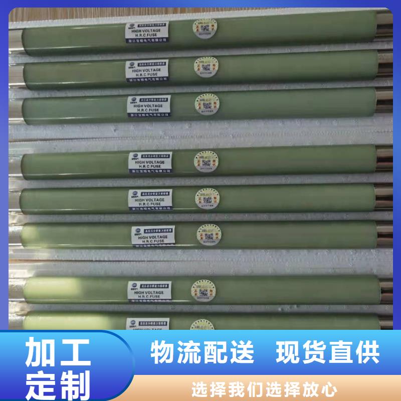 保护电压互感器用高压限流熔断器XRNP1-24/0.5A