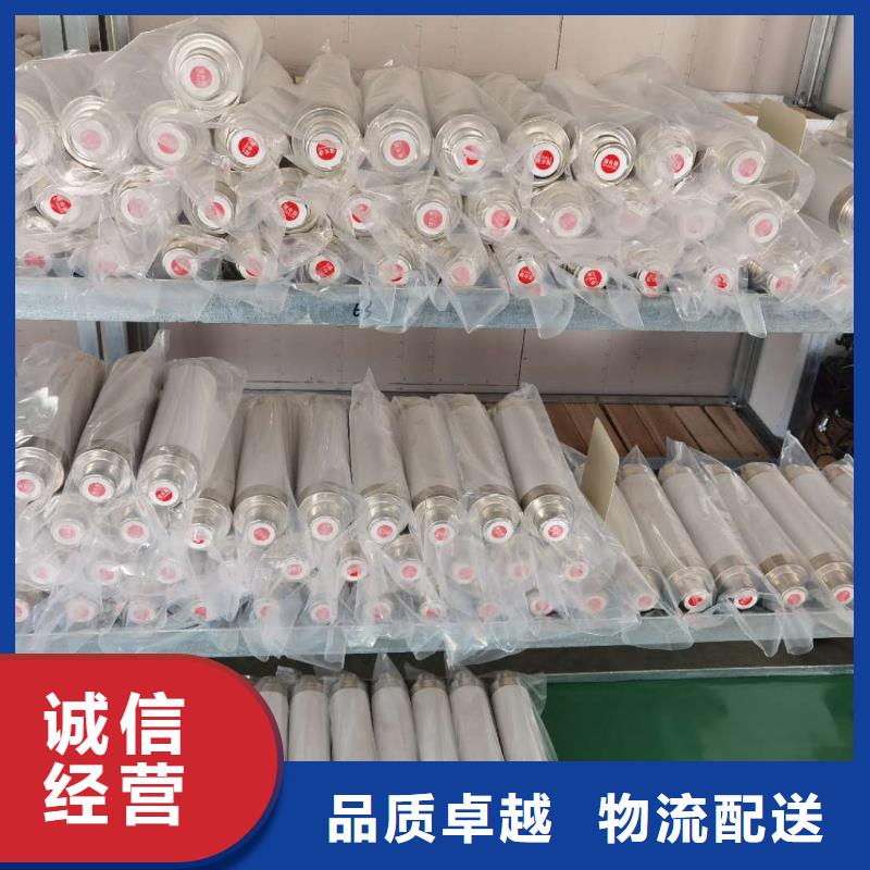 保护电压互感器用高压限流熔断器XRNP1-24/0.5A