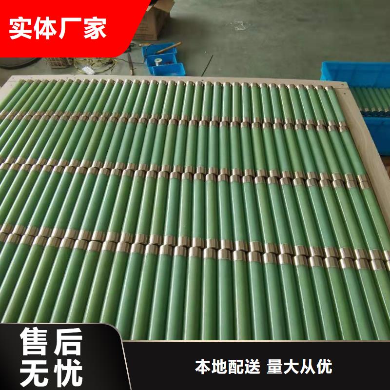 保护电压互感器用高压限流熔断器XRNP1-24/0.5A