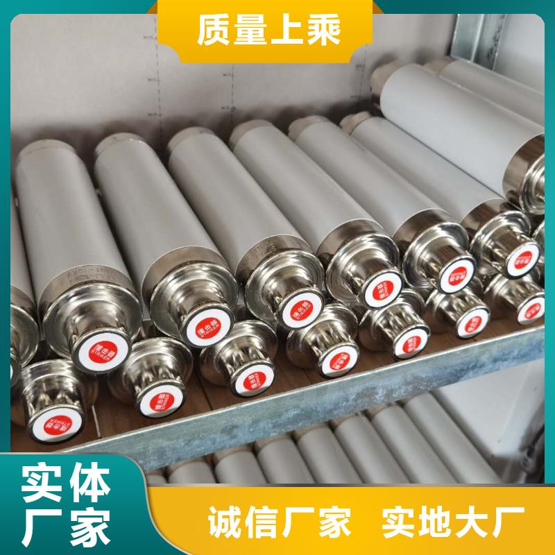 保护电压互感器用高压限流熔断器XRNP1-12/3.15A